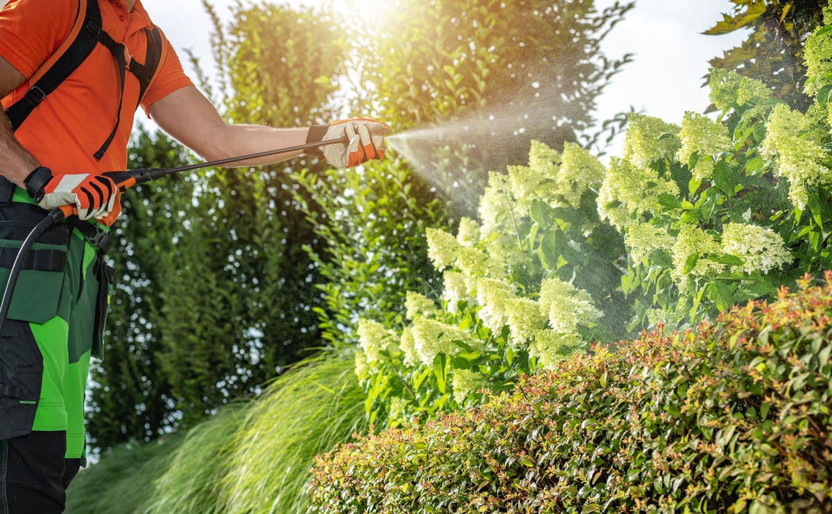 Technician applying a professional treatment in a lush lawn and garden