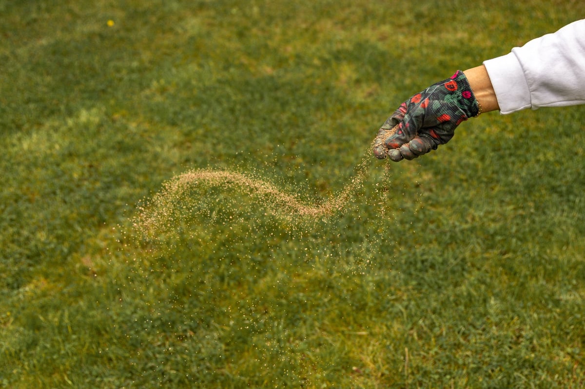 Lawn Fertilization